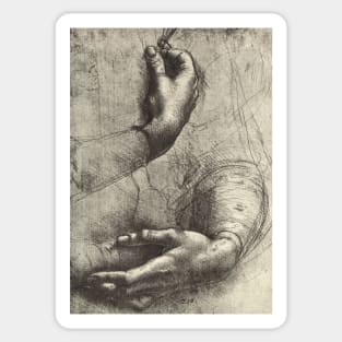 Study of a Woman's hands, drawn by Leonardo Da Vinci, 1452 – 1519 Sticker